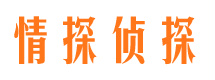 青白江侦探公司